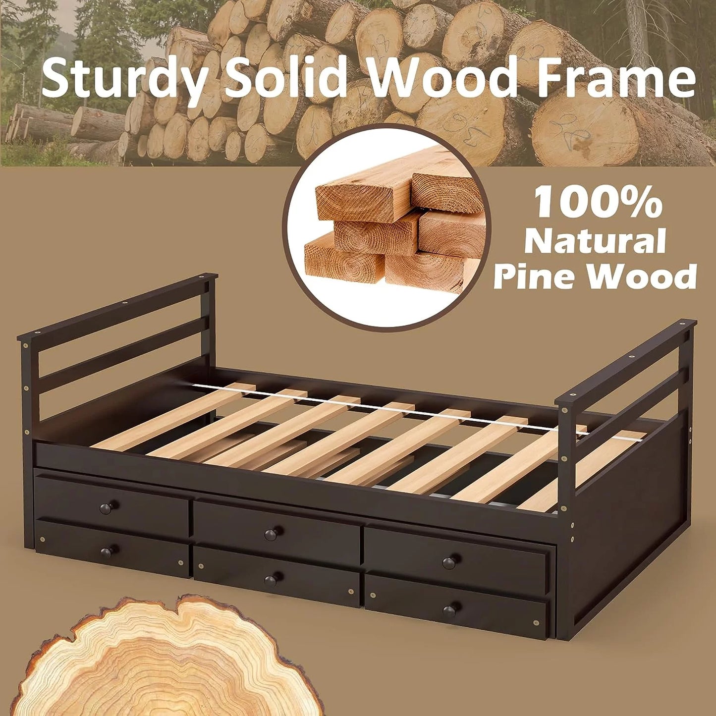 Tolead Wooden Twin Daybed with Trundle and Storage Drawers, Captains Bed Frame with Pull Out Bed, Brown